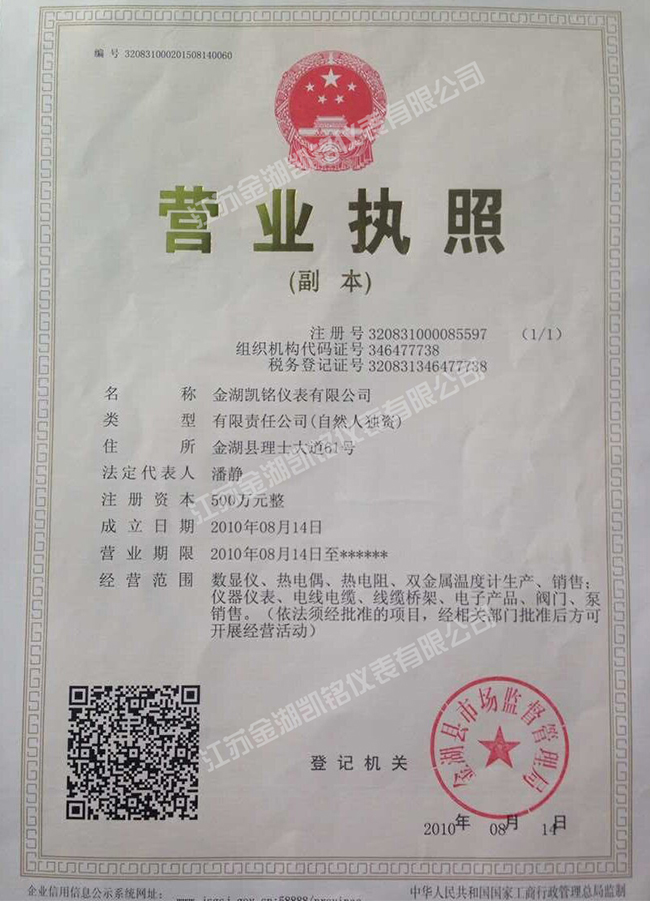 金湖凱銘儀表有限公司營業(yè)執(zhí)照